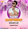 Balam Pichkari (Remix) DJ Vicky