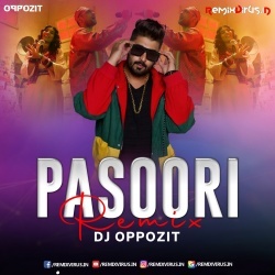 Pasoori (Remix) DJ Oppozit.mp3