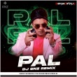Pal (Remix) DJ SNZ