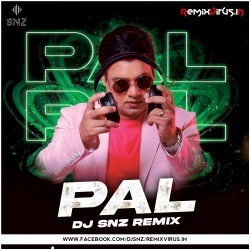 Pal (Remix) DJ SNZ.mp3