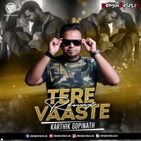 Tere Vaaste (Remix) Karthik Gopinath